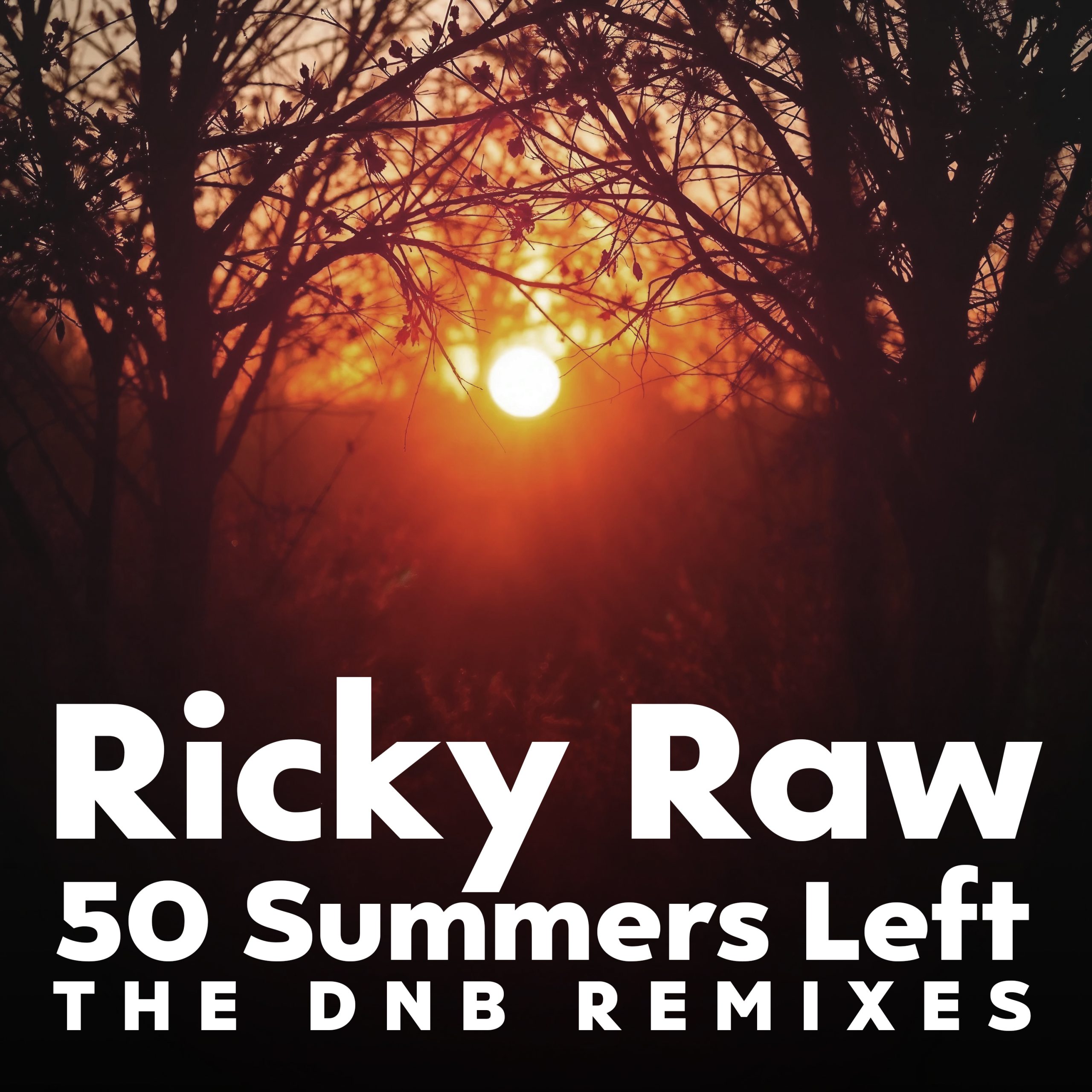 Ricky Raw 50 Summers Left: The DNB Remixes