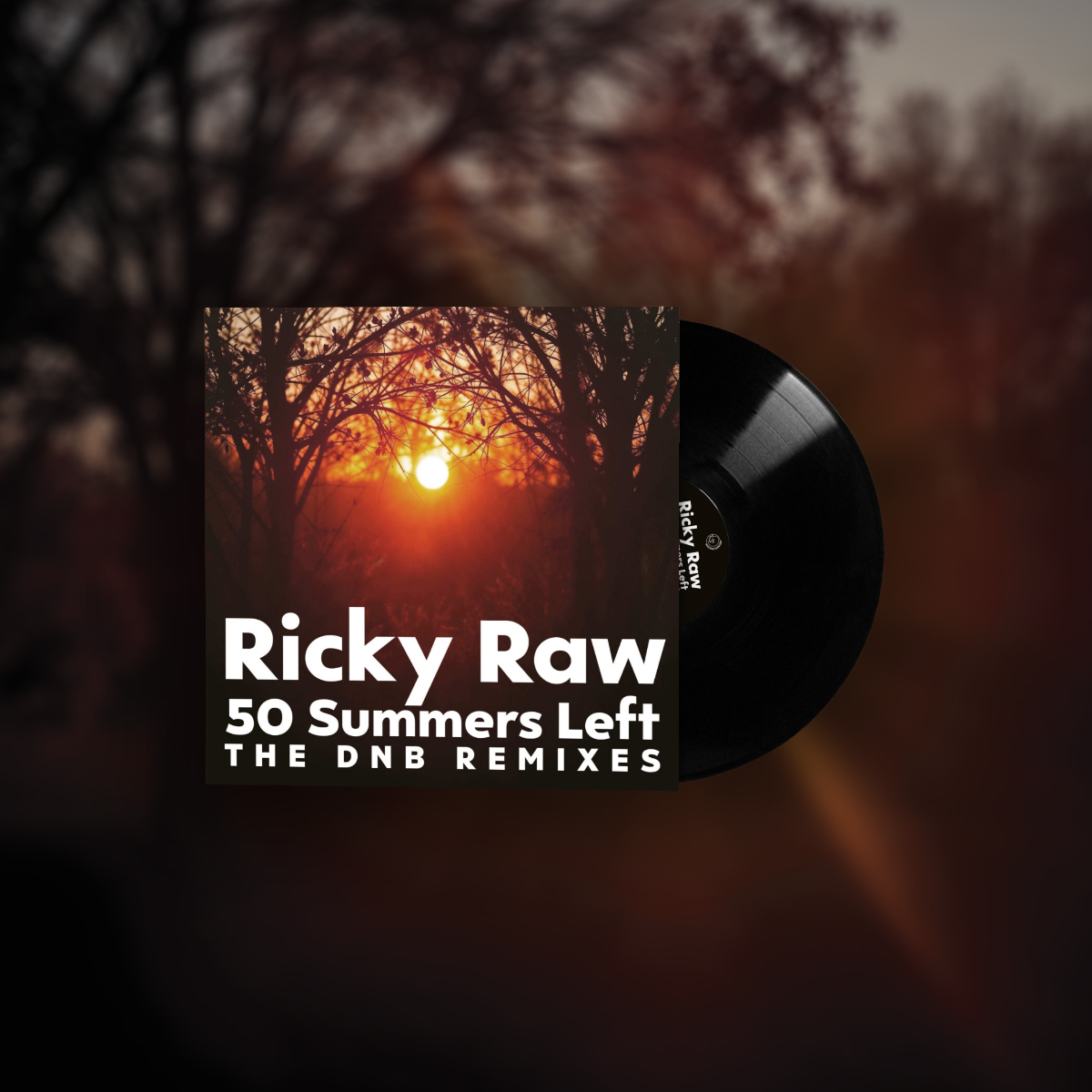 50SummersLeftRemixes_vinyl-promoart